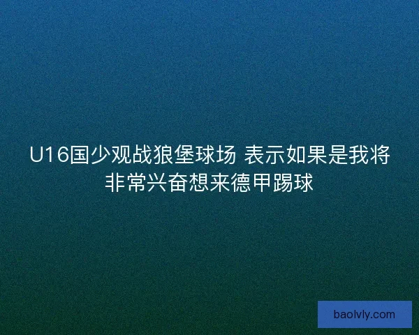 U16国少观战狼堡球场 表示如果是我将非常兴奋想来德甲踢球